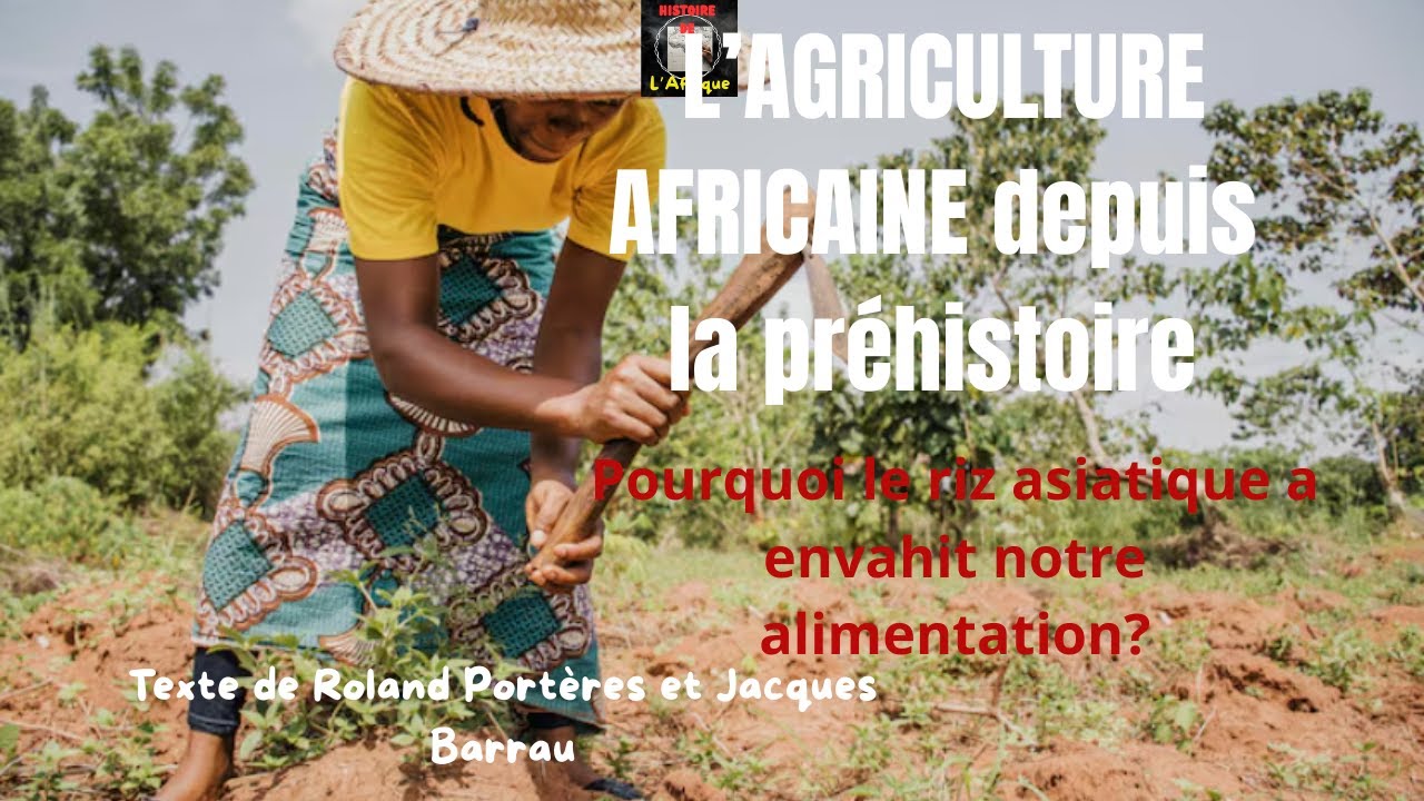 L'AGRICULTURE AFRICAINE DEPUIS LA PREHISTOIRE. La dépendance alimentaire de l'Afrique