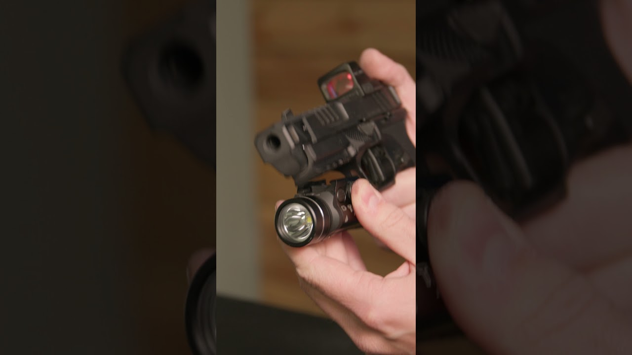 The Springfield Echelon