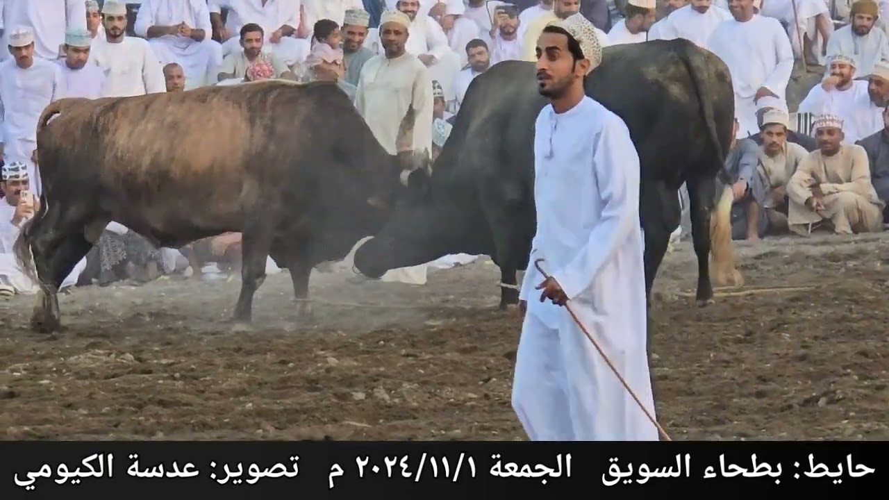 الهاون و شيلاه ... حايط بطحاء السويق ١٥