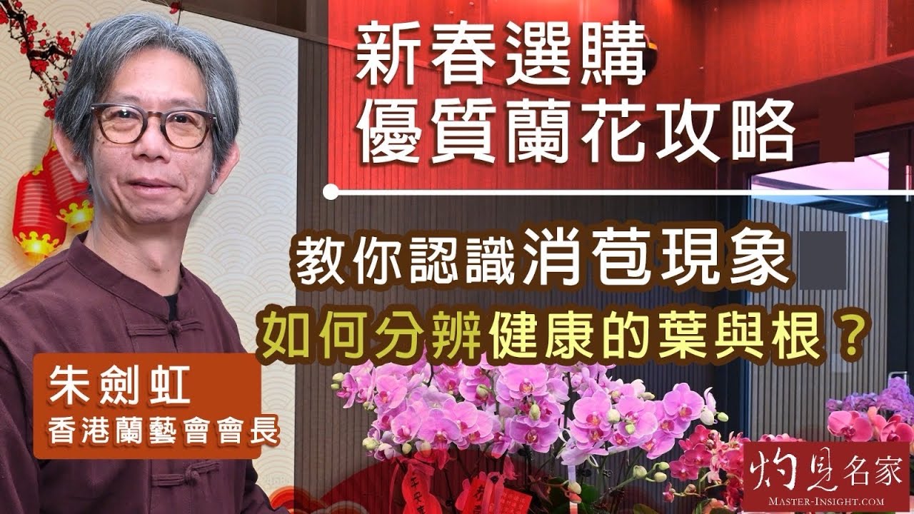 香港蘭藝會會長朱劍虹：新春選購優質蘭花攻略 教你認識消苞現象 如何分辨健康的葉與根？ ｜第一集｜乙巳蛇年運程｜2025-01-25