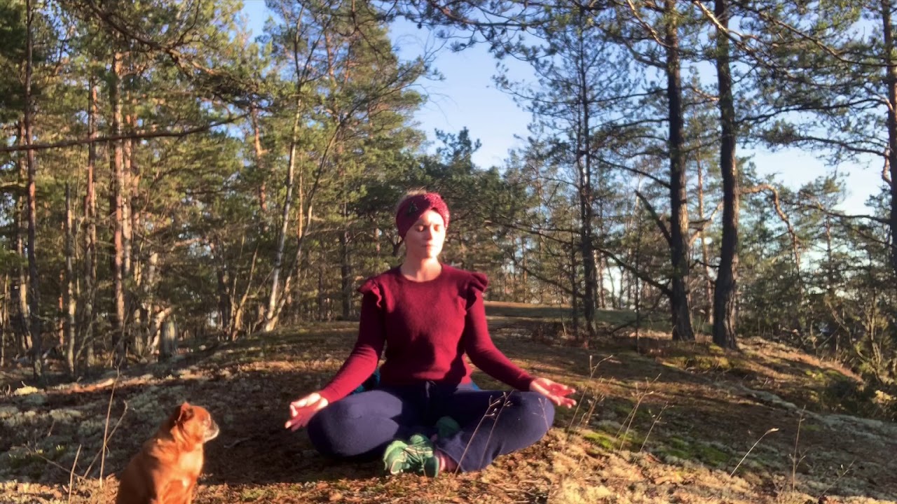 Meditation från skogen (Skifta tanke)