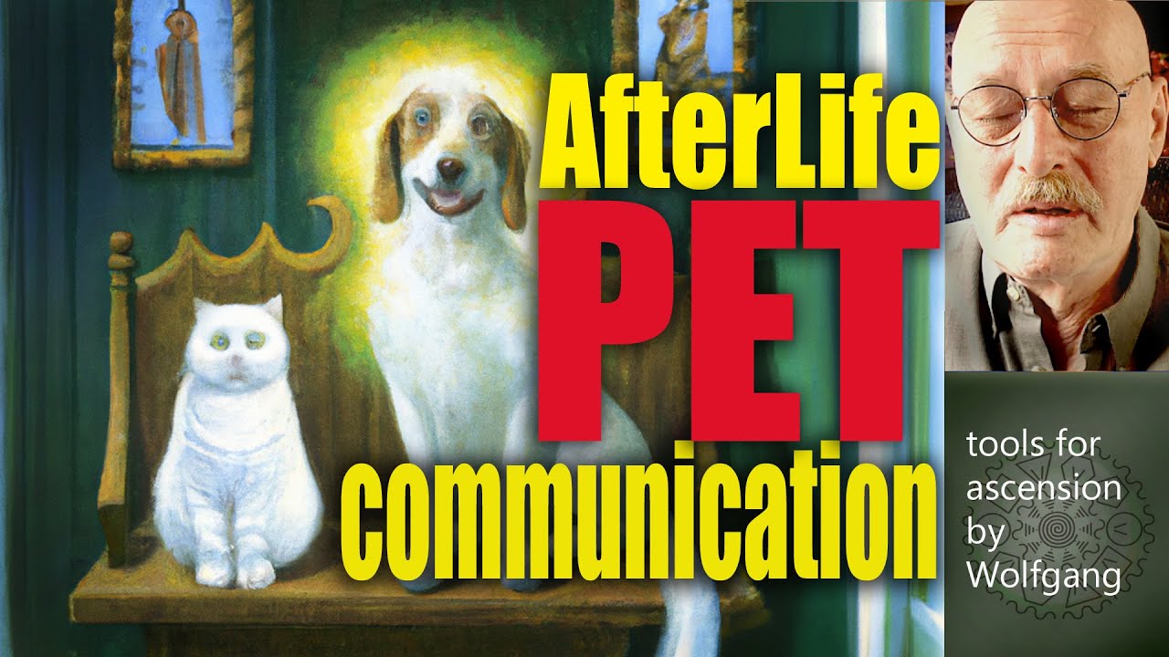 Connect with Deceased Pets: Afterlife Meditation for Healing & Reunion
