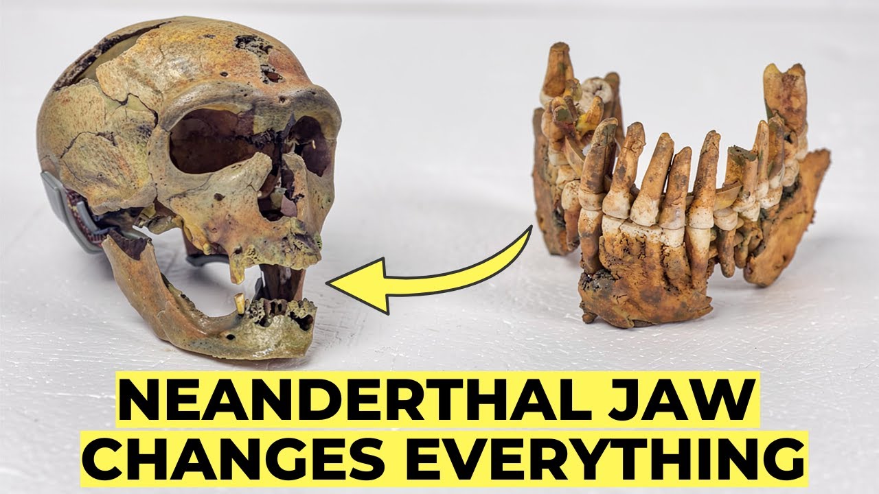Ancient DNA Finally Reveals the Last Neanderthal's Secrets and Rewrites Human History