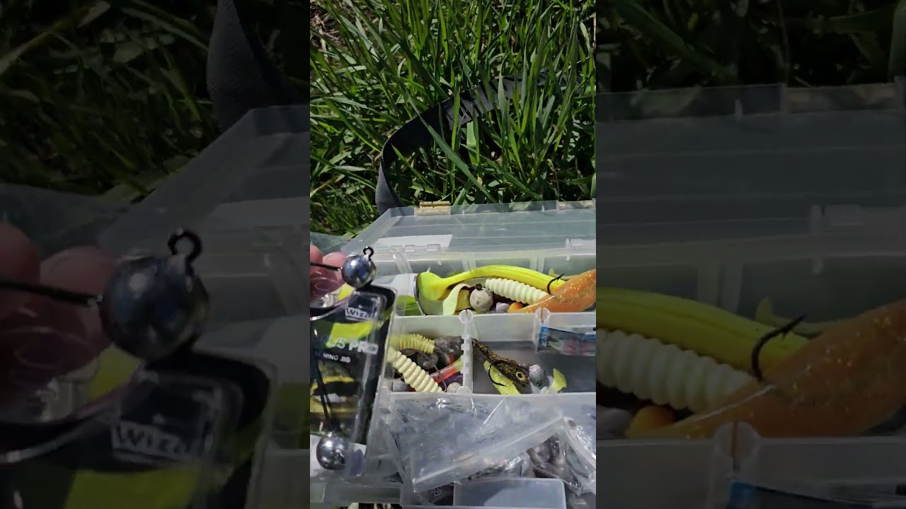 silurus pro test #Shorts #youtubeshorts #trending #viral #quicktips #youtube #youtuber #shortstiktok