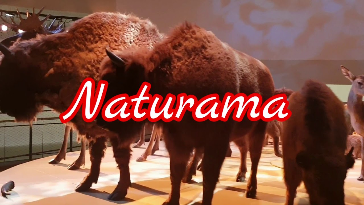 PF TRAVEL - Naturama Svendborg