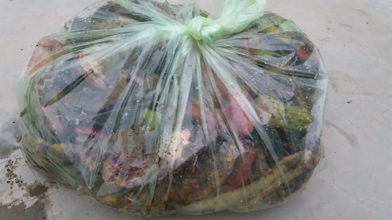 Polythene Bag Me Compost Banane Ka Aasan Tarika. #hindi #compostinpolythenebags