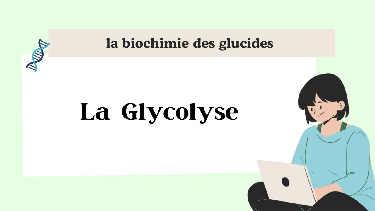 La glycolyse 1 er année médecine