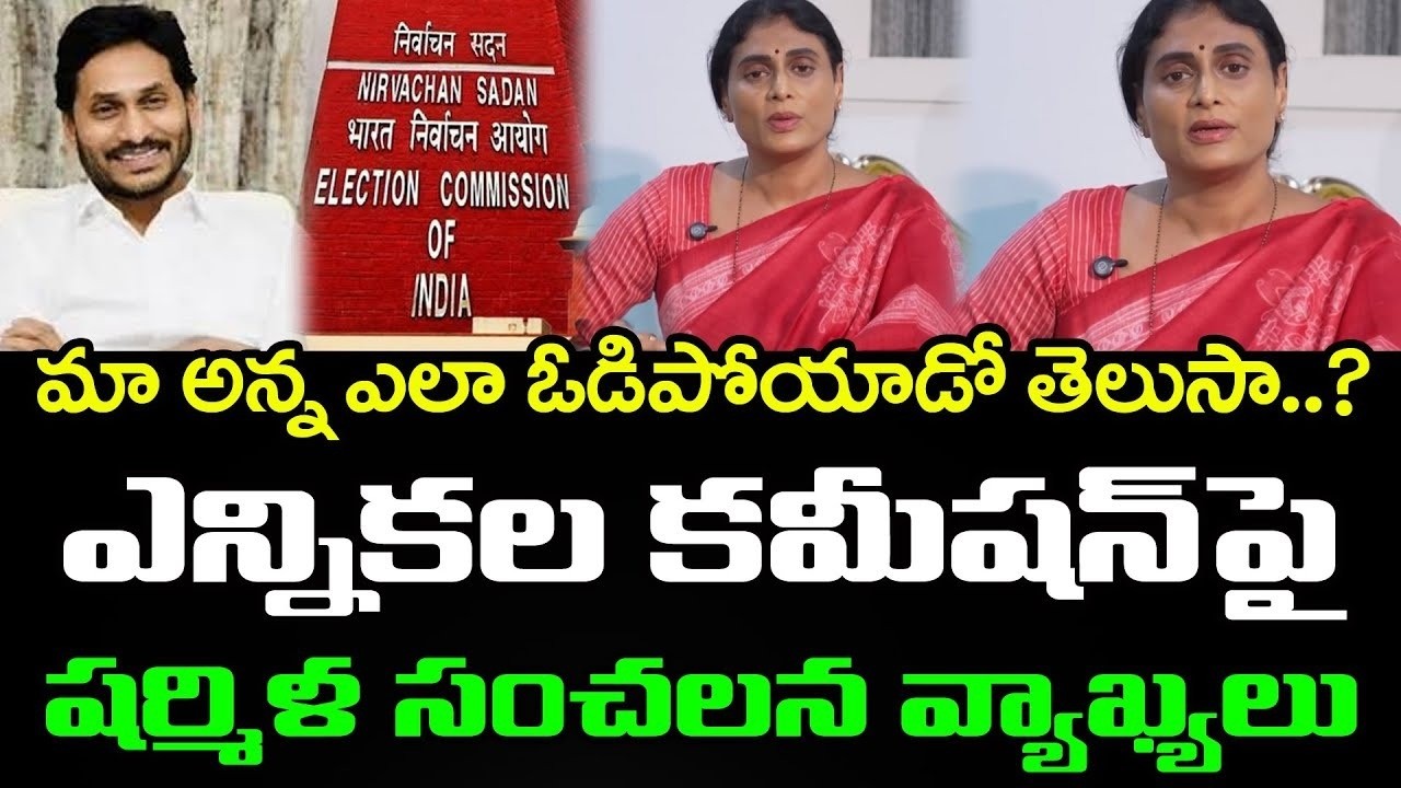 YS Sharmila About YS Jagan Defeat : PDTV News