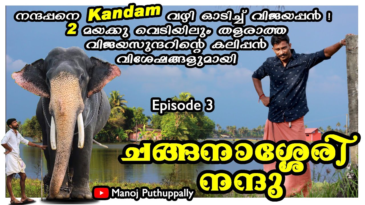 നന്ദപ്പനെ കണ്ടം വഴി ഓടിച്ച് വിജയപ്പൻ ! രണ്ട് മയക്കു വെടിയിലും തളരാത്ത വിജയസുന്ദറിന്റെ  വിശേഷങ്ങൾ...