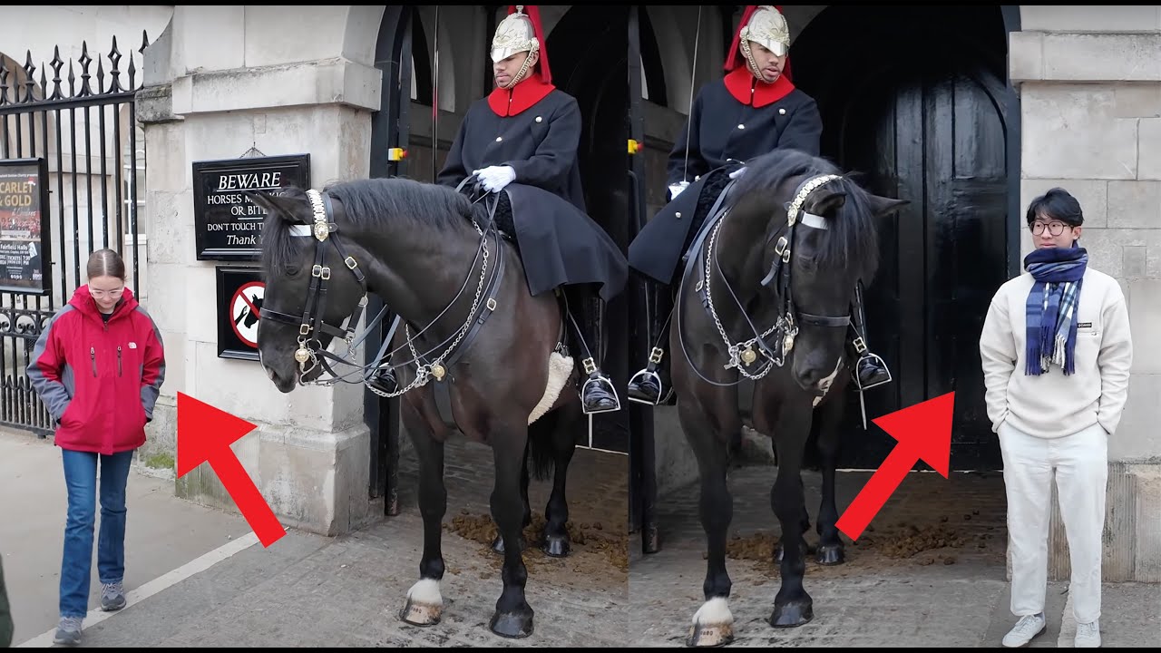 Step Over the Line, Face the Consequences: The Guard Who Won't Tolerate Rule Breakers