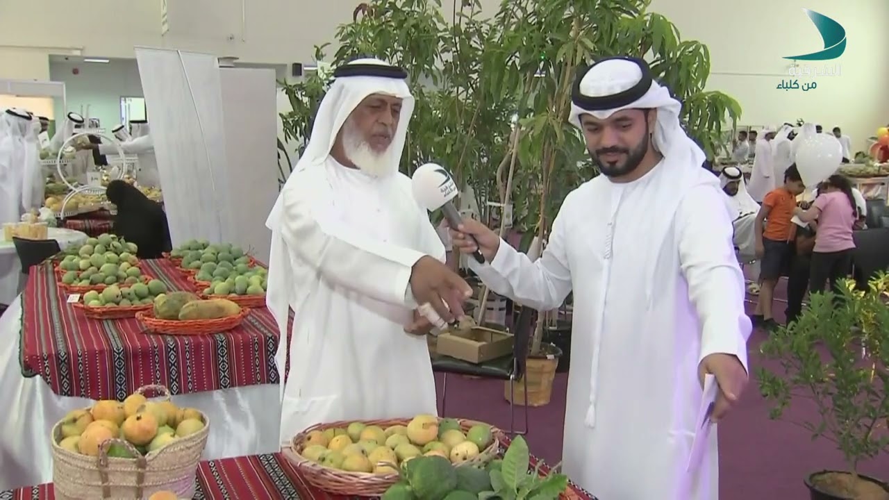مهرجان المانجو السنوي الثاني | الحلقة 3