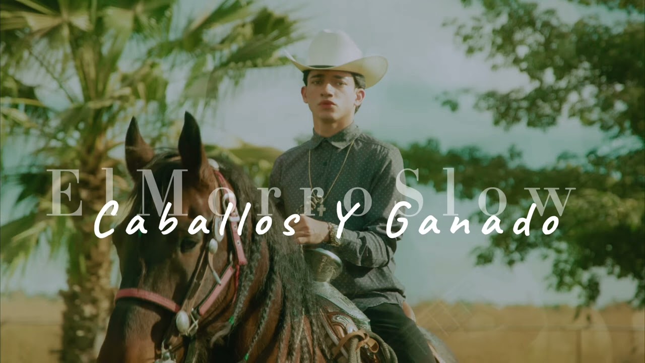 Juan Freer - Caballos Y Ganado [Slowed + Reverb]
