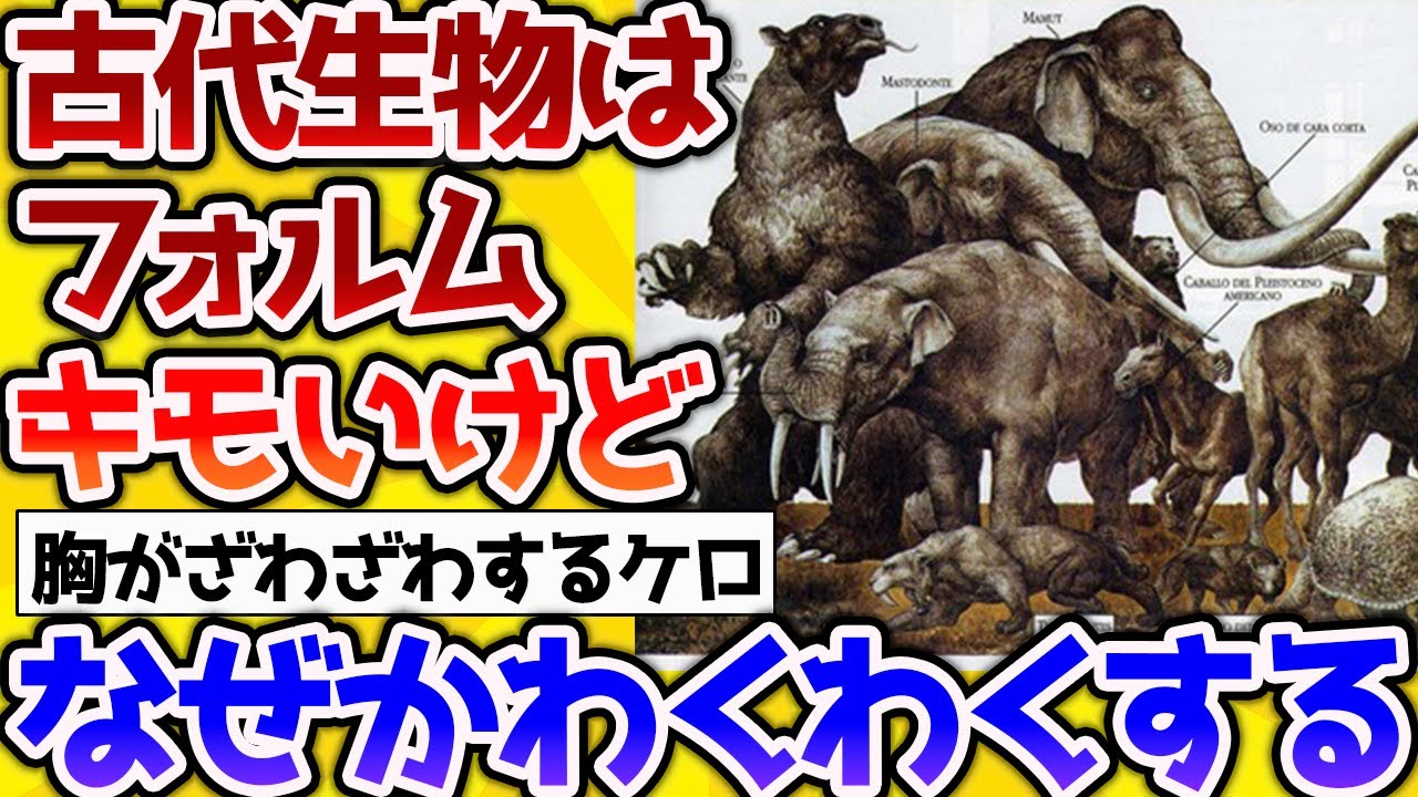 【2ch動物スレ】古代生物の形がおもしろすぎる！【なんj】 