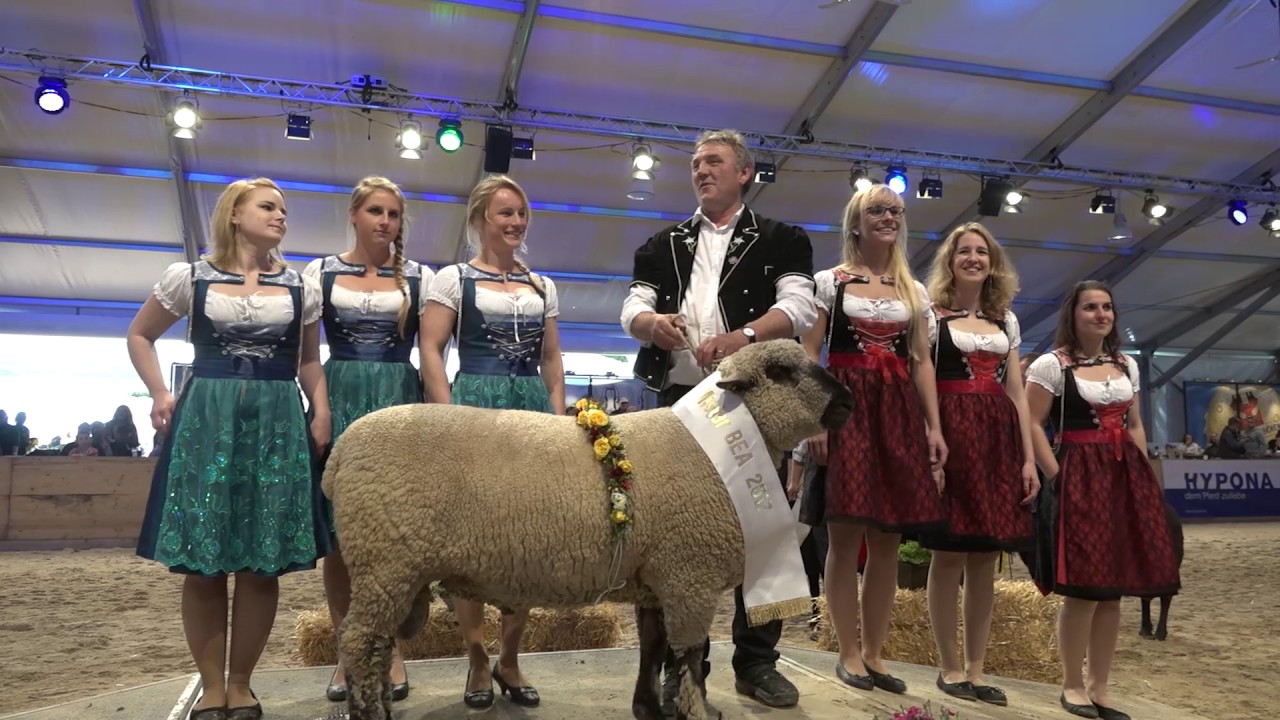 BEA 2017: Highlights der 66. Ausgabe