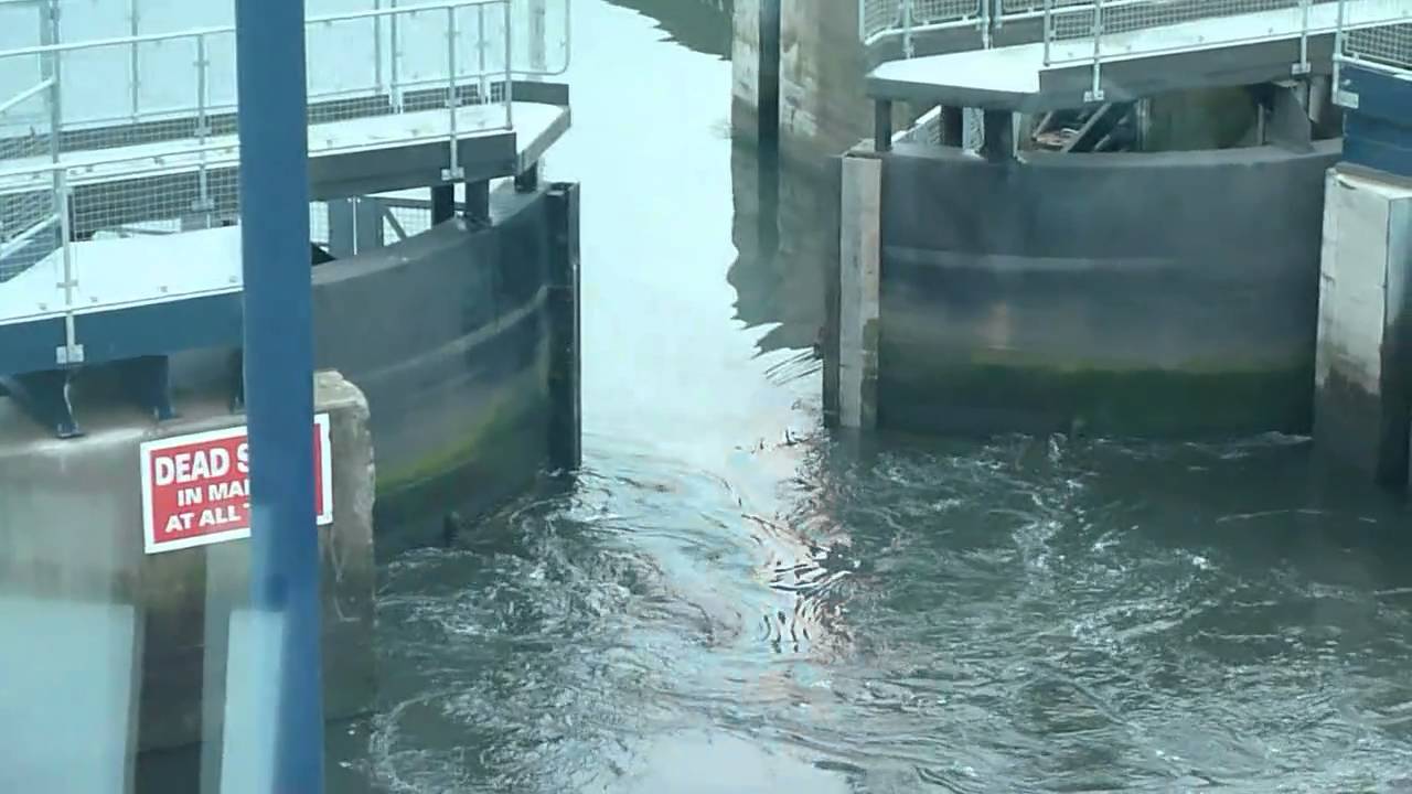 Royal Quays Marina