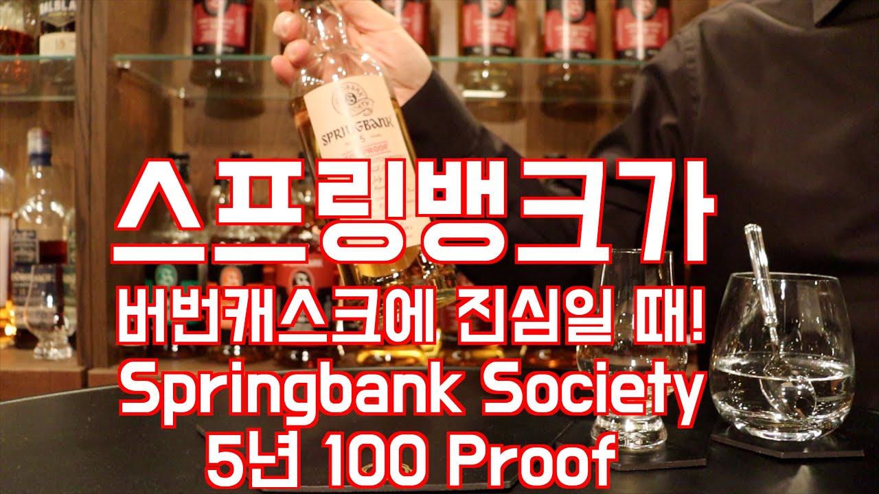 이건 찐이다! 스프링뱅크 소사이어티 5년, 스뱅이 버번케스크에 진심일 때  Springbank Society 5년 100proof #위스키리뷰 #whisky #쇼츠 #스프링뱅크