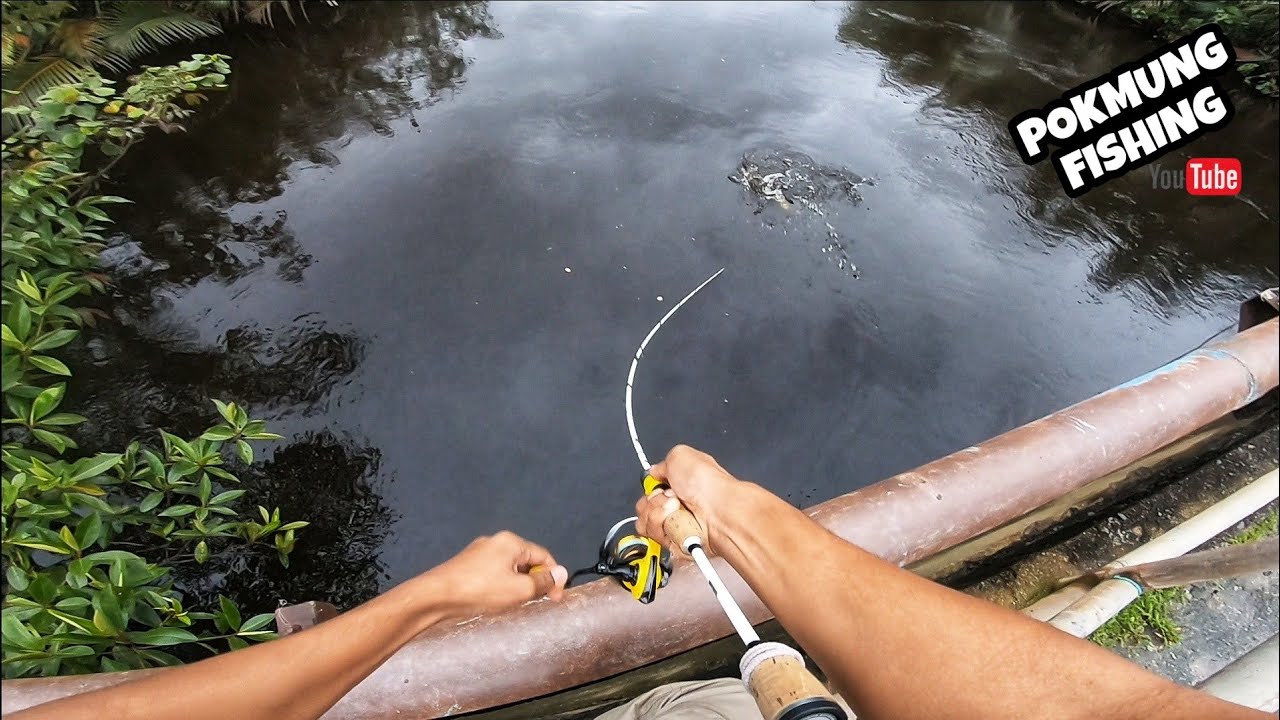 Mancing Ikan Bulan Banyak Tepi Jambatan Dungun !!!