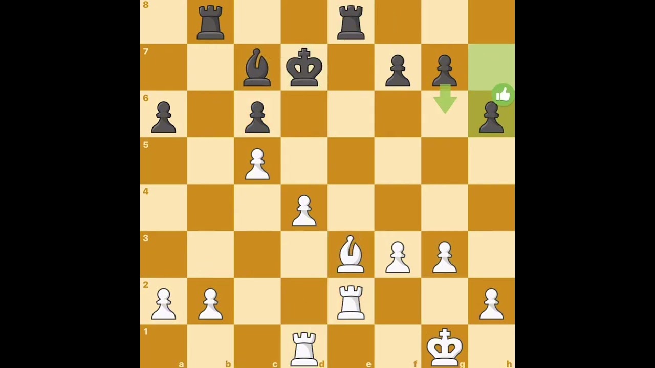 1 thiên tài nhập thành