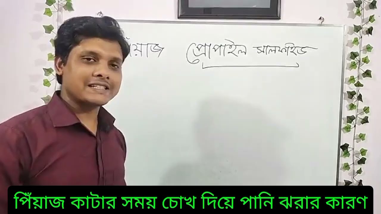 পিঁয়াজ কাটলে চোখের পানি ঝরার কারণ 