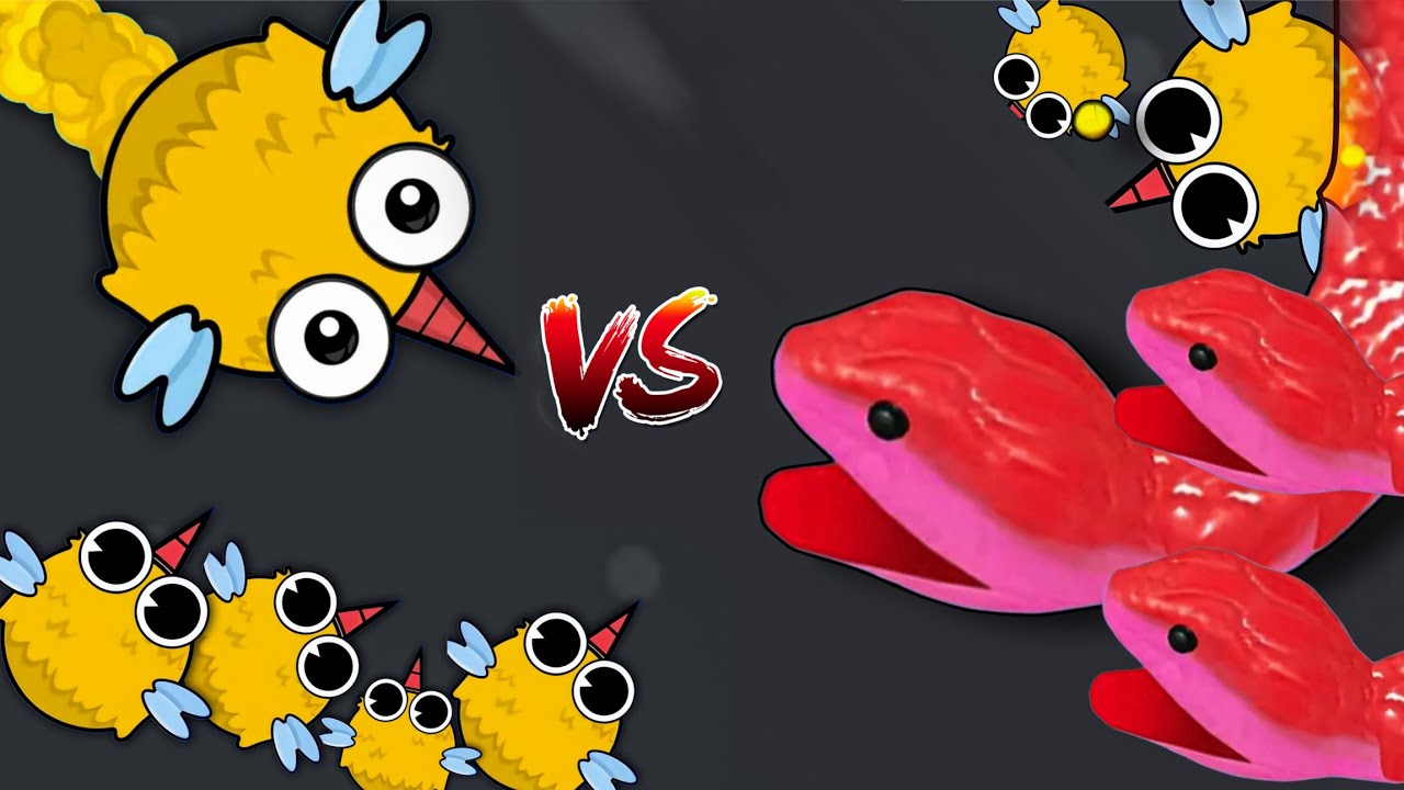 Snake Clash Vs Mosquito io 🐍Max level Epic Comprehension 100%🔥Win Pro Gameplay #11