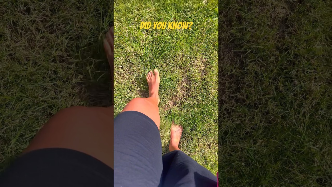 Walking in grass! #healthyhabits #walking #grass