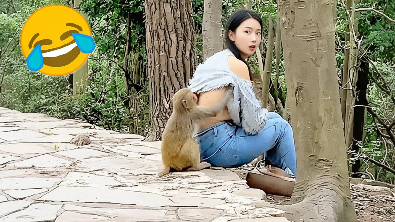 Try Not To Laugh 😂 - Funniest Videos of All Time 😅🤣 Memes Part 60