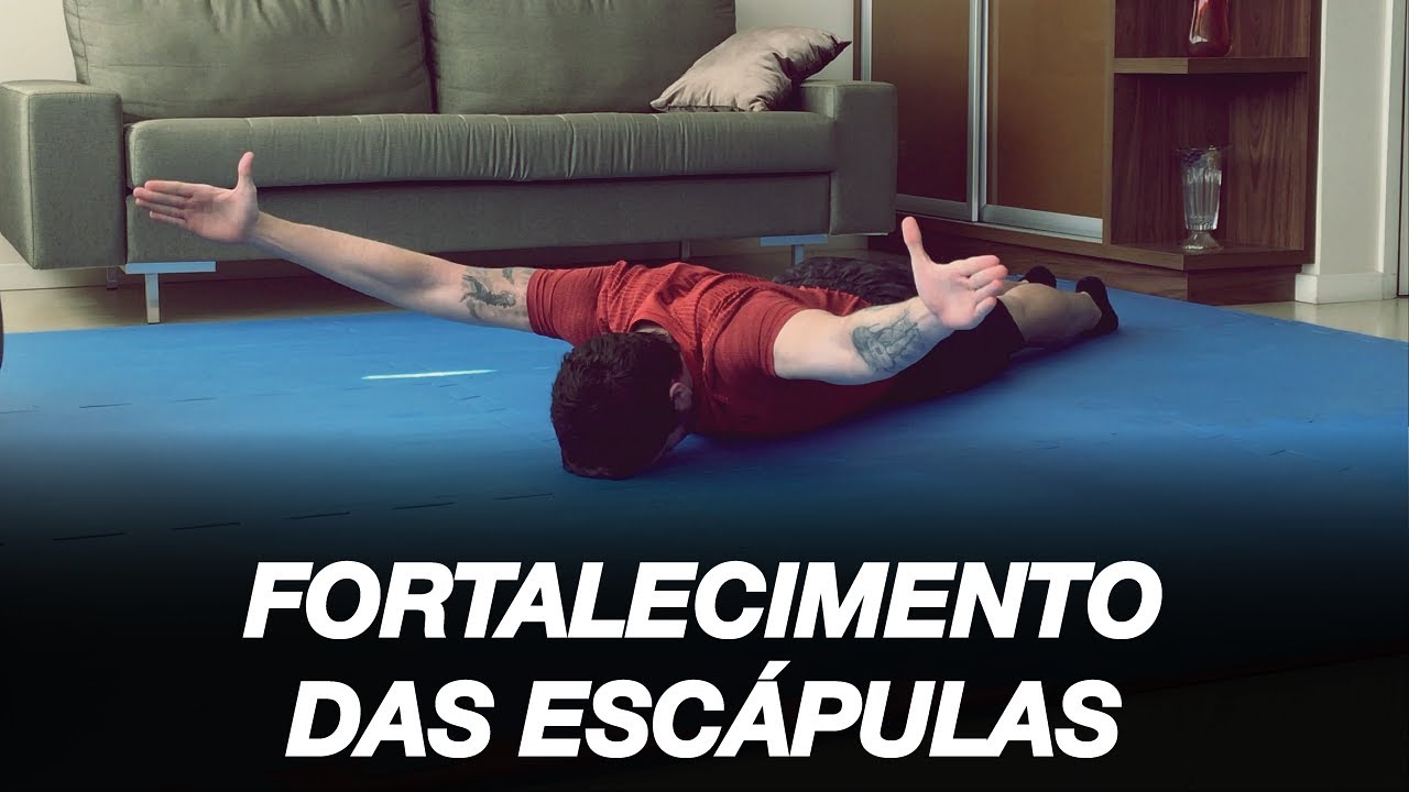 EXERC&Iacute;CIOS PARA FORTALECER AS ESC&Aacute;PULAS