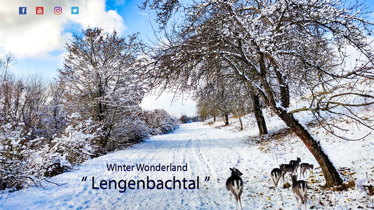 Winter Wonderland 