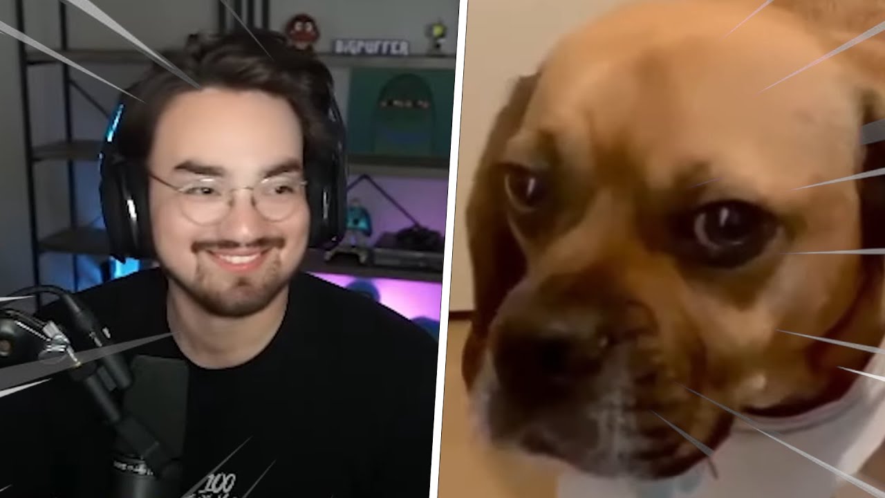 Bigpuffer Reacts to NEW MEMES In a NEW ROOM