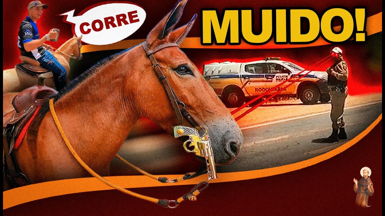 Cavalgada - Fui com a Mula -