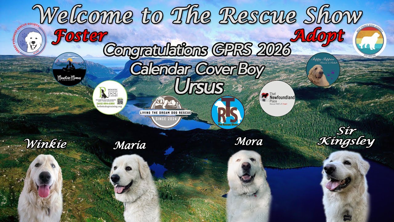 The Rescue Show Live from GPRS HQ 1-18-2026