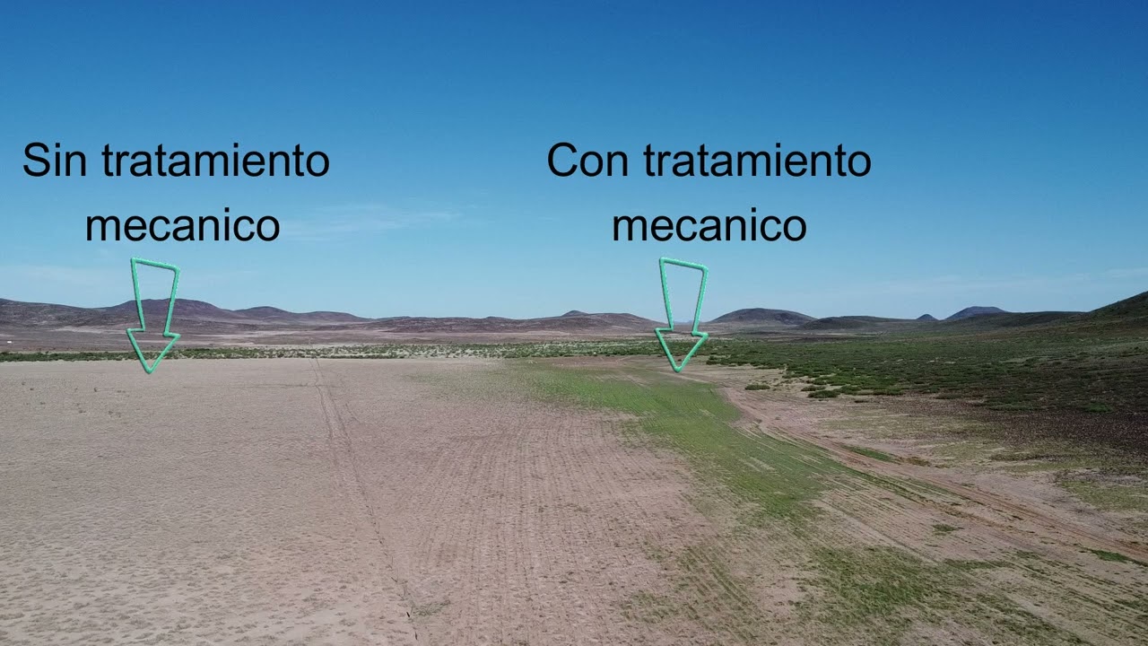 Arado Yeomans y linea clave en Ejido Janos