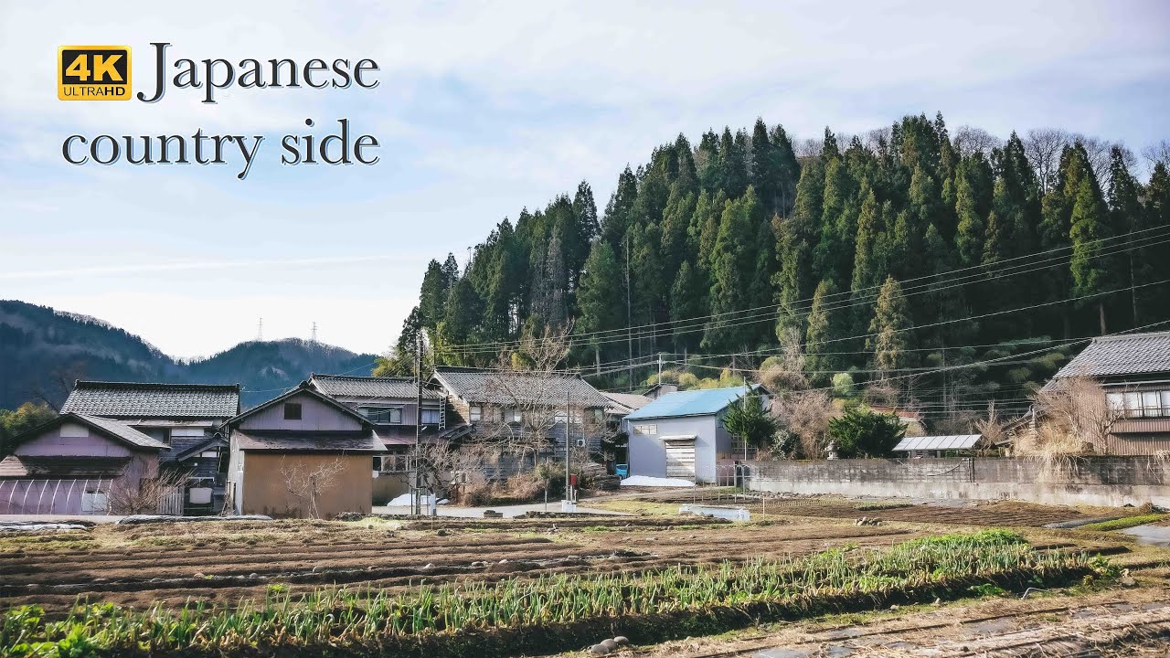 【4K】Morning walk in Japanese Countryside | Hakusan City, Ishikawa Prefecture Japan
