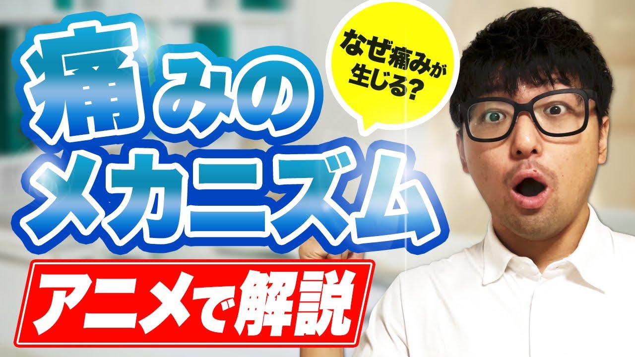 アニメで痛みのメカニズムを解説　　【理学療法士　痛み】