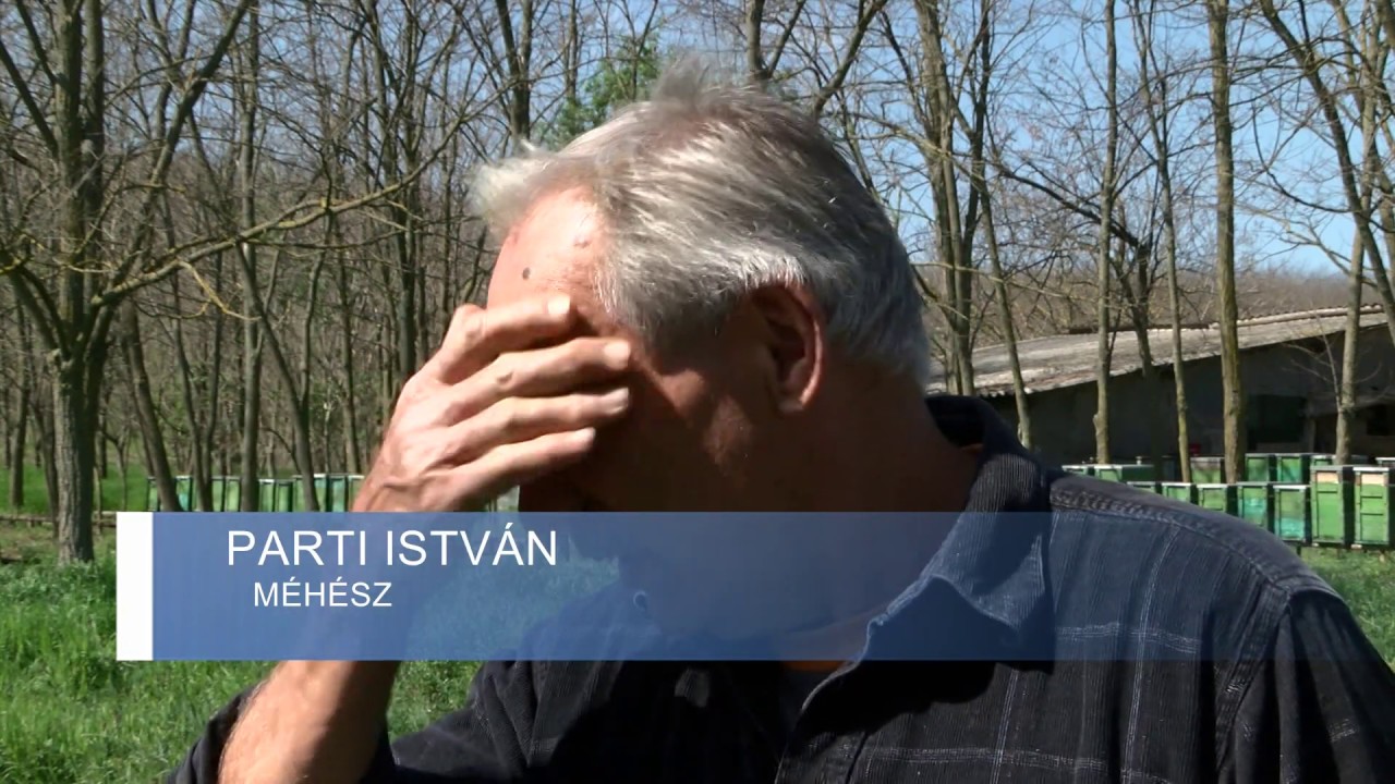 Méhészet válsága - Bátaszék   20200420