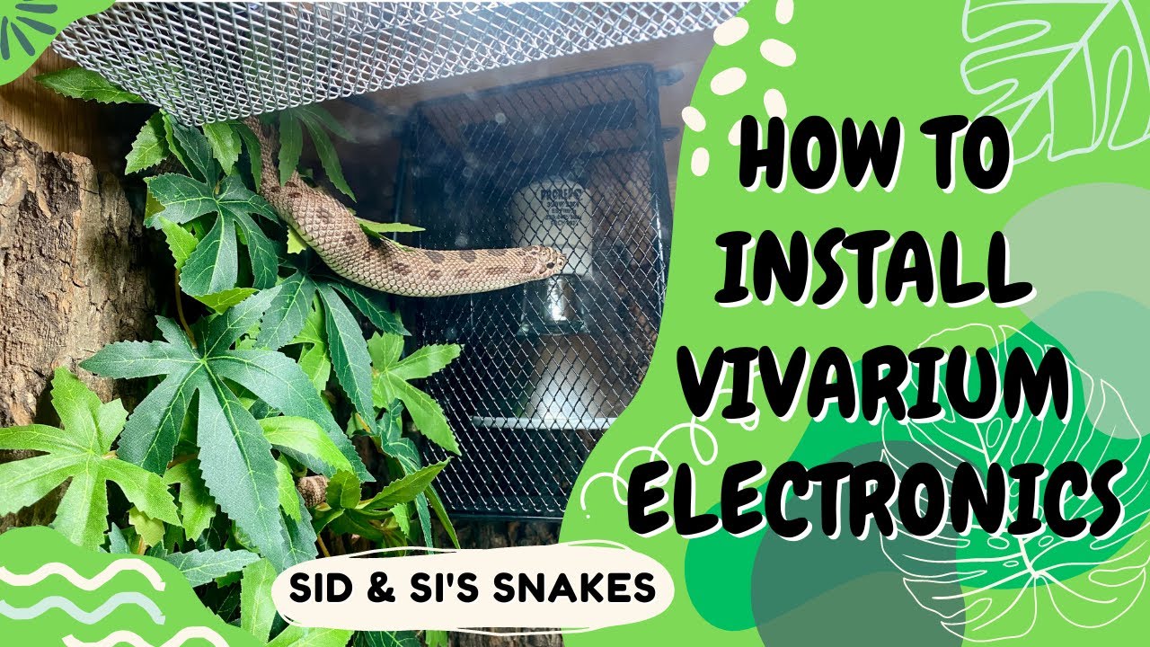 DIY How to install vivarium electronics | Snake | Hognose or Corn Snake