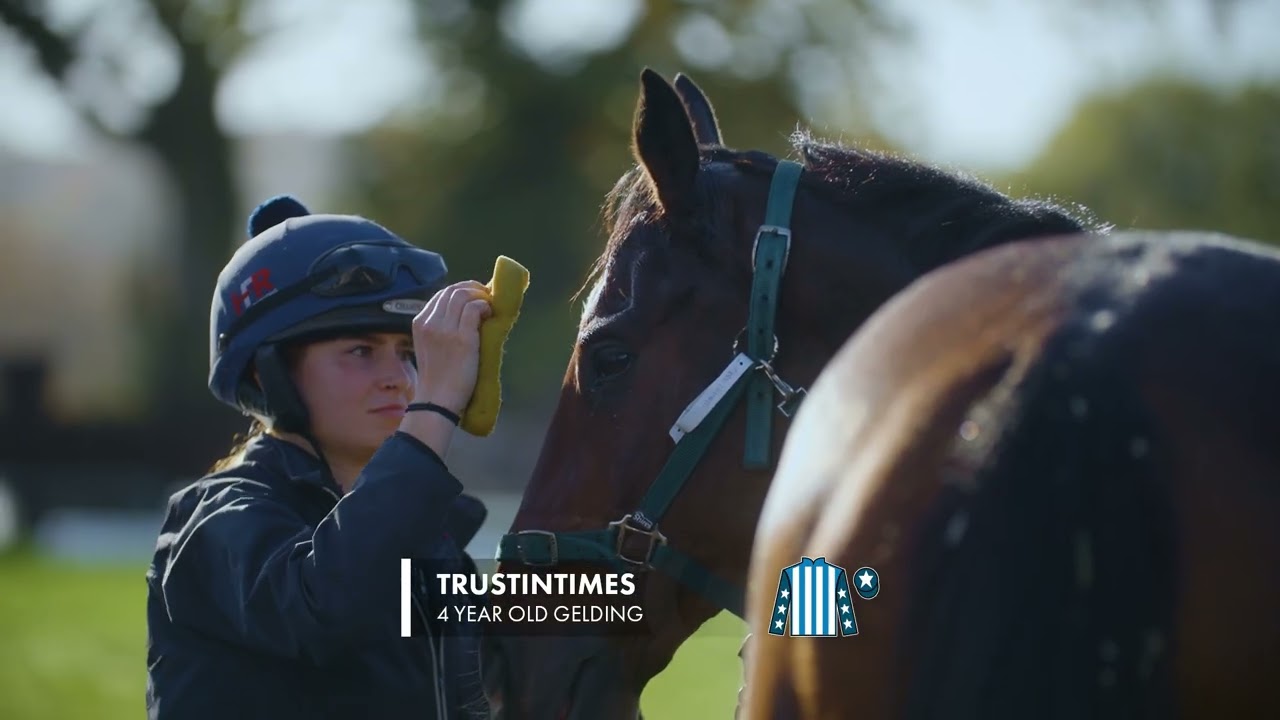 HARRY FRY 2025/2026 STABLE TOUR