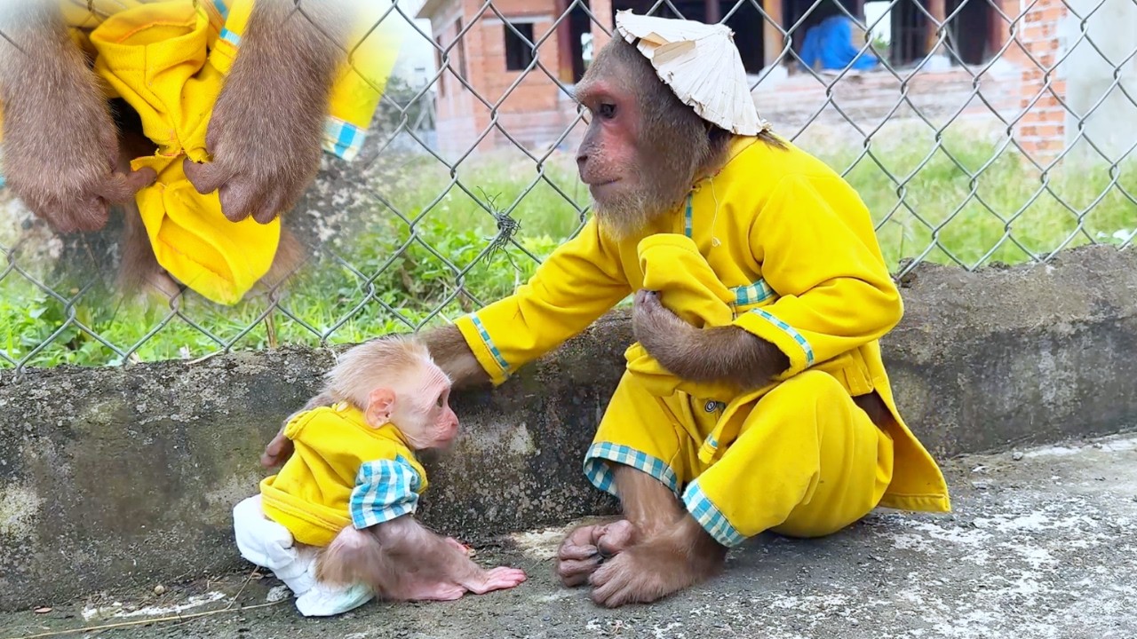 Fashion Creative! CUTIS Genius Way to Fix Buem's Broken Shorts!