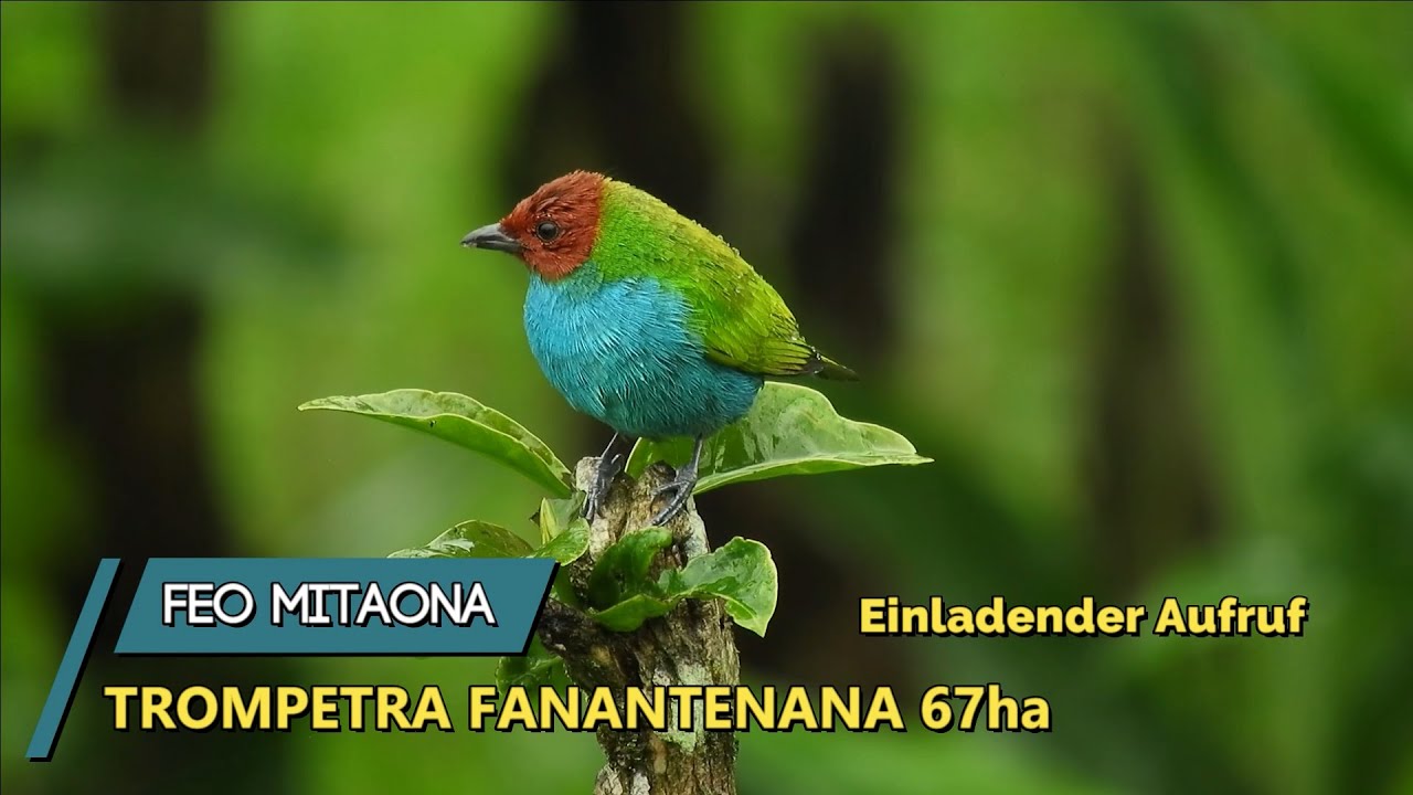 Chorale Trompetra Fanantenana 67 ha - FEO MITAONA  (Einladender Aufruf)