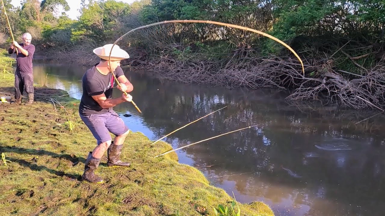 Pescaria caipira, esse lugar é o Paraíso das traíras, a varinha de bambu cantou, Pescaria de traíras