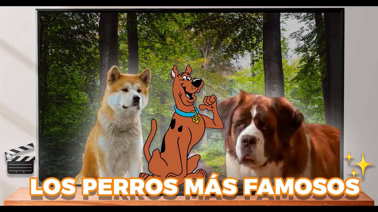 Perros Famosos en Pel&iacute;culas y Series🐶🐾