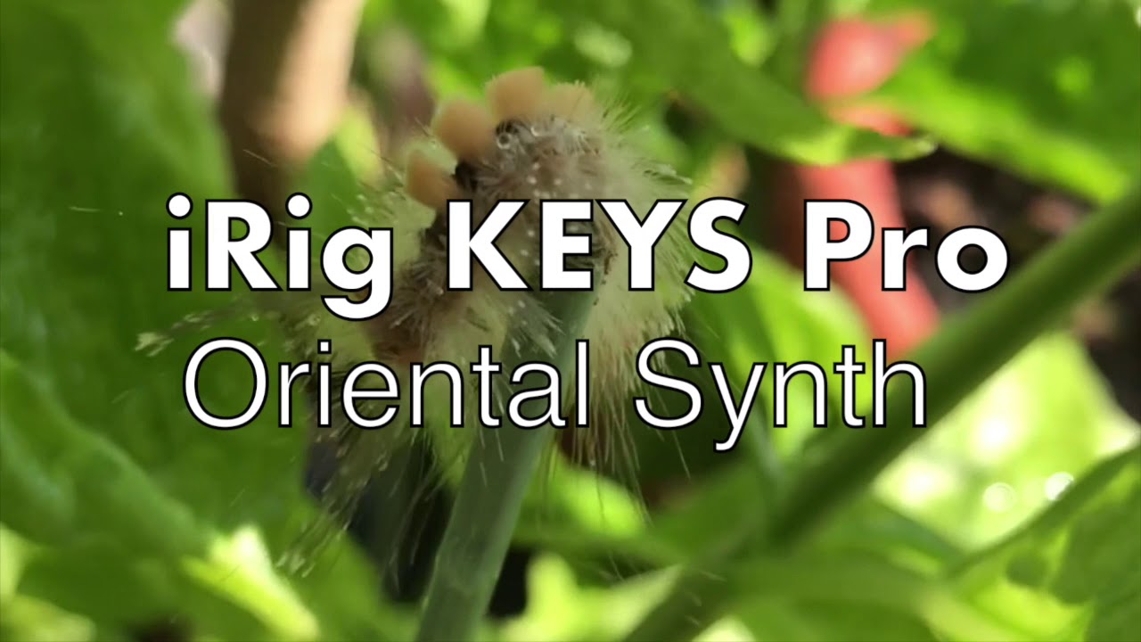 Oriental Synth - Royalty Free Music