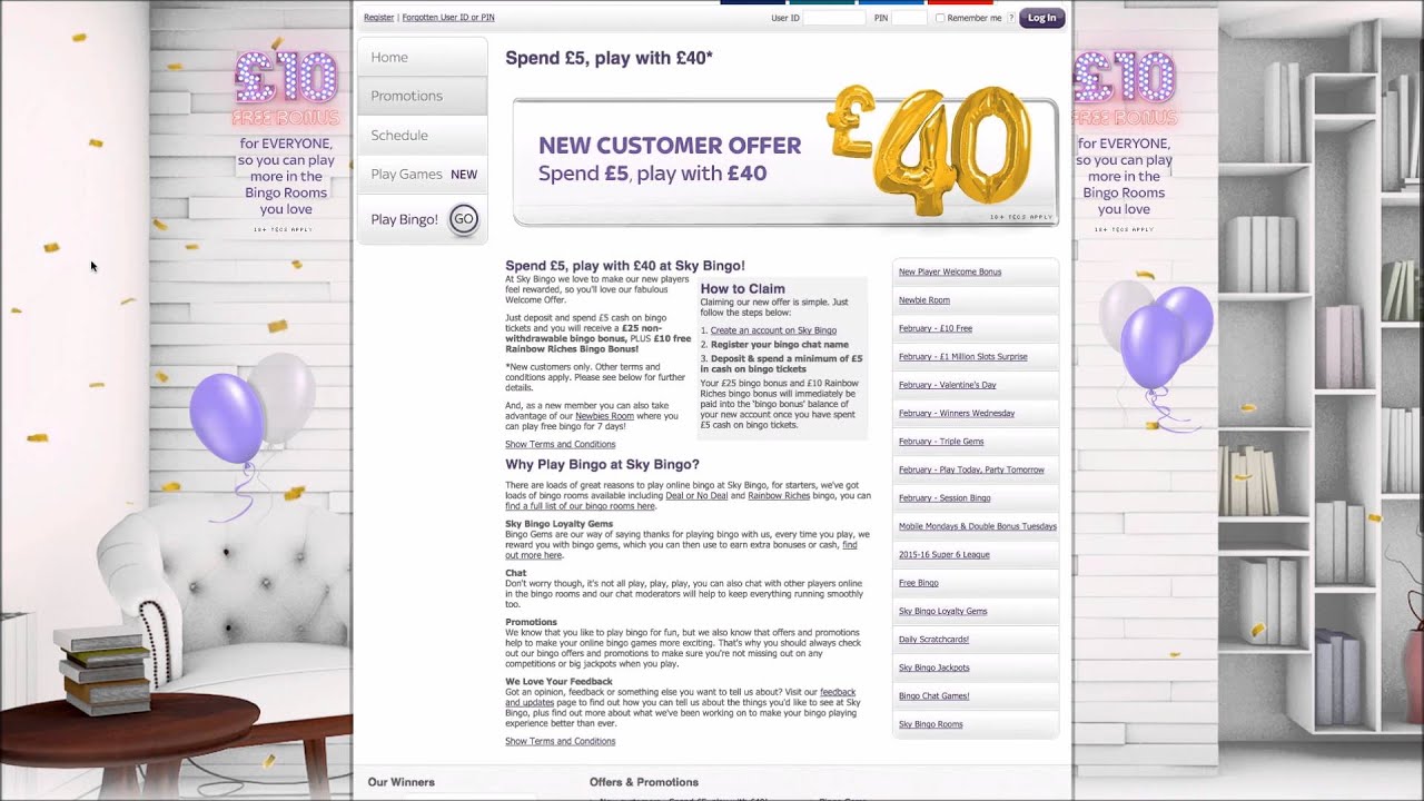 Review of Sky Bingo Login Website