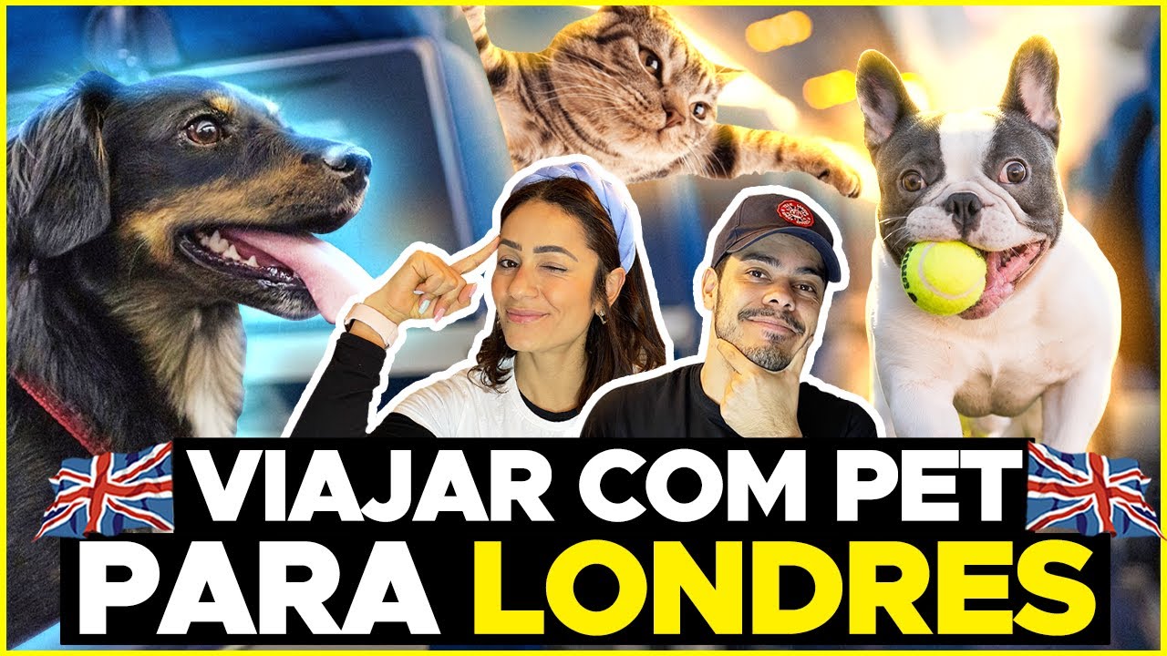 3 FORMAS DE VIAJAR COM O SEU PET | LONDRES E EUROPA
