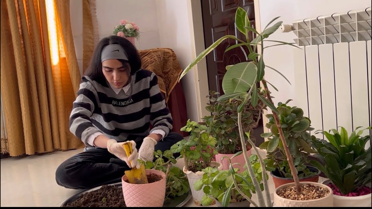 Simple cooking,plant care | A peaceful day in village life 