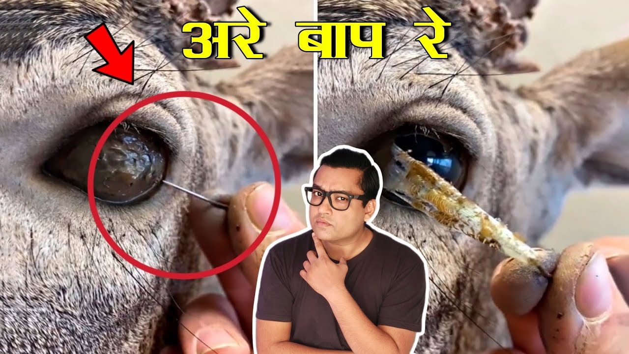 ऐसी चीज़े जो आप ज़िंदगी में पहली बार देखेंगे  Things you will see for the first time in your life