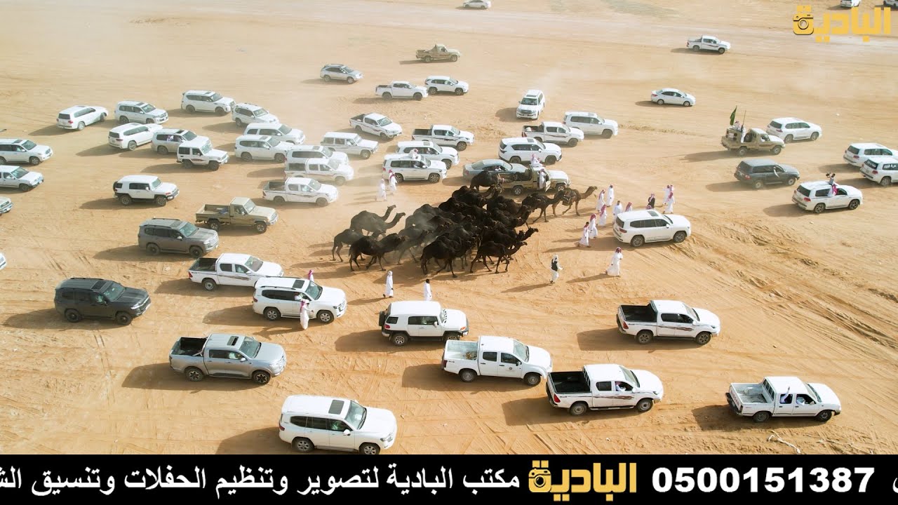 مسيره سبيع الغلبا / مهرجان جادة الأبل تبوك ١٤٤٤ ( مشاركة الشيخ سعد بن ناصرفريج السبيعي )