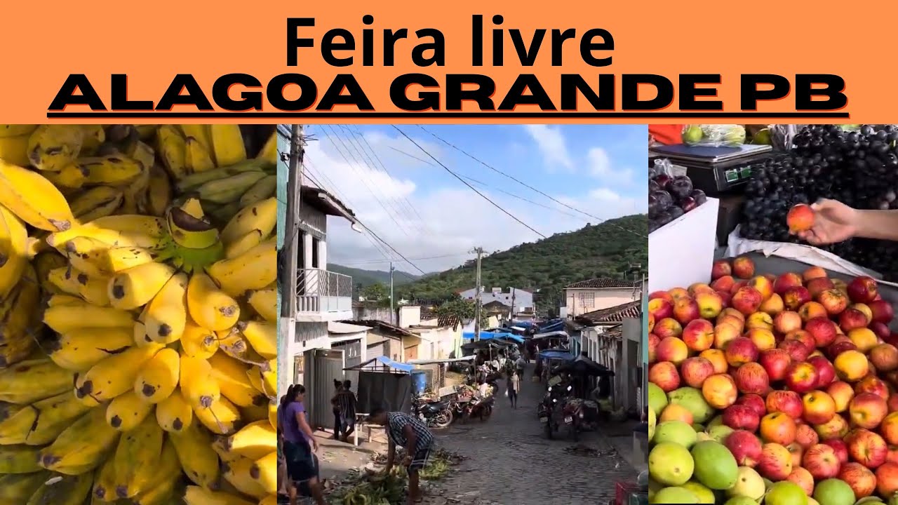 Explorando a Feira Livre de Alagoa Grande - PB | Zé Aventuras