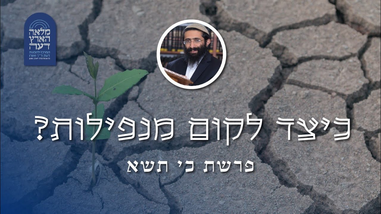 פרשת כי תשא • הרב ראובן ששון • חלקי הפרשה - המתכון לקום מנפילות וייאוש