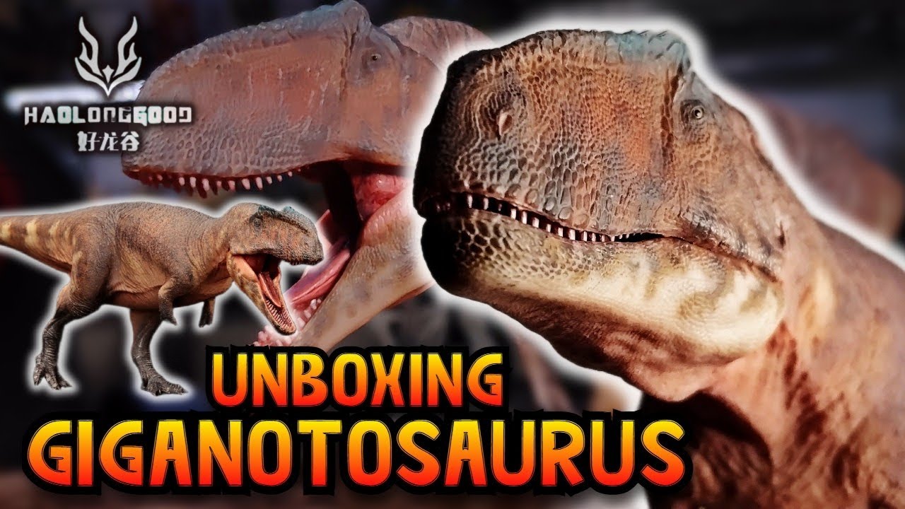 UNBOXING: ¡¡¡Giganotosaurus Halonggood!!!